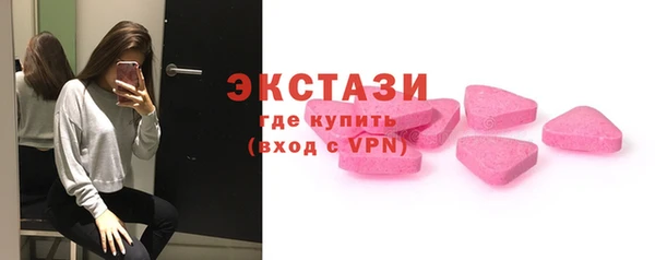 дживик Богородицк