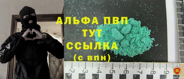 дживик Богородицк