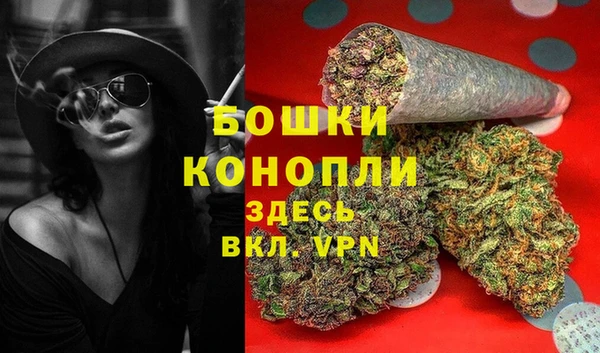 дживик Богородицк